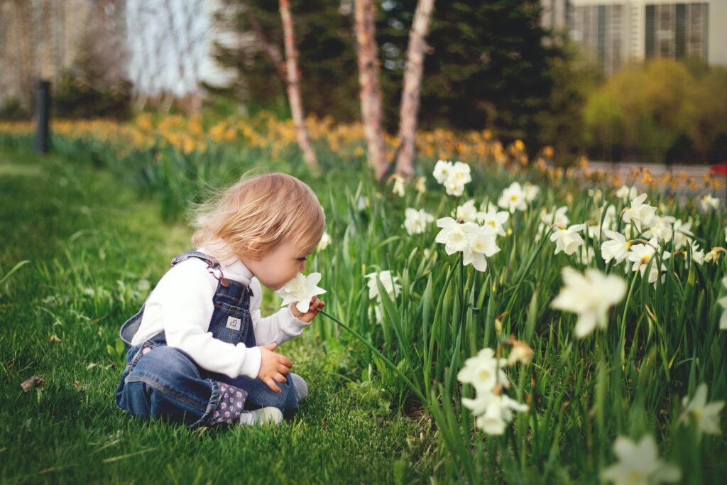 A kid smelling the flower 
