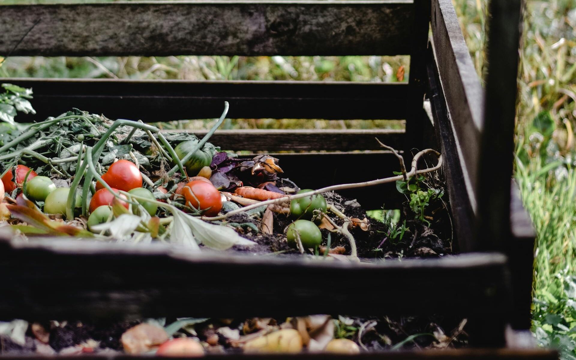 backyard compost bin is one of the best urban homesteading ideas