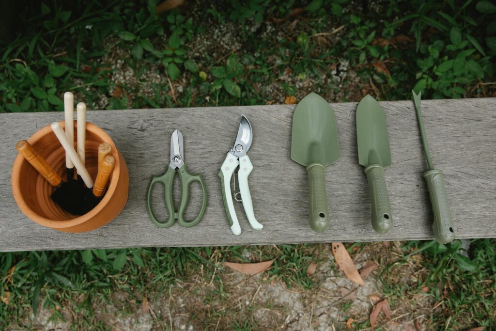 Gardening toolkit on a wooden bench