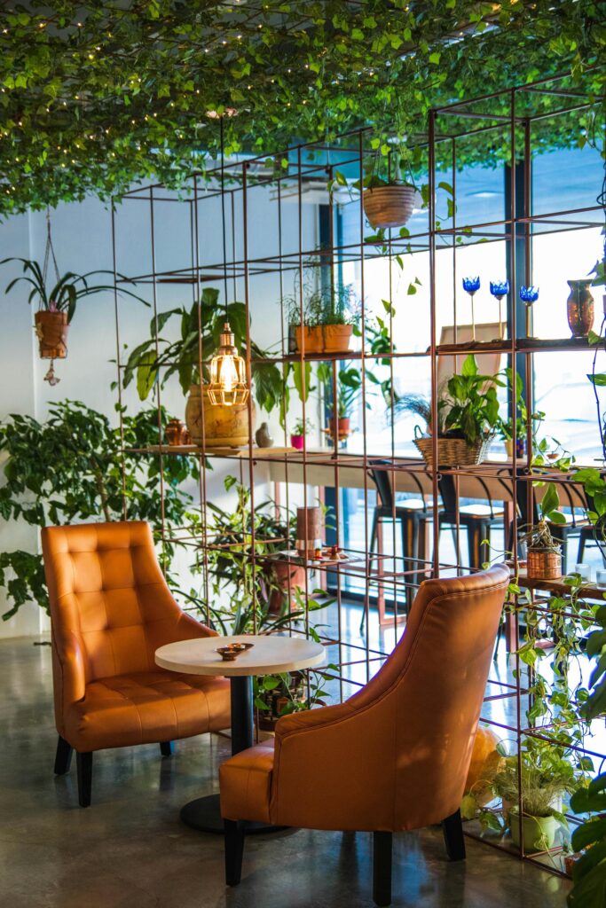 Two chairs and a table near indoor plants