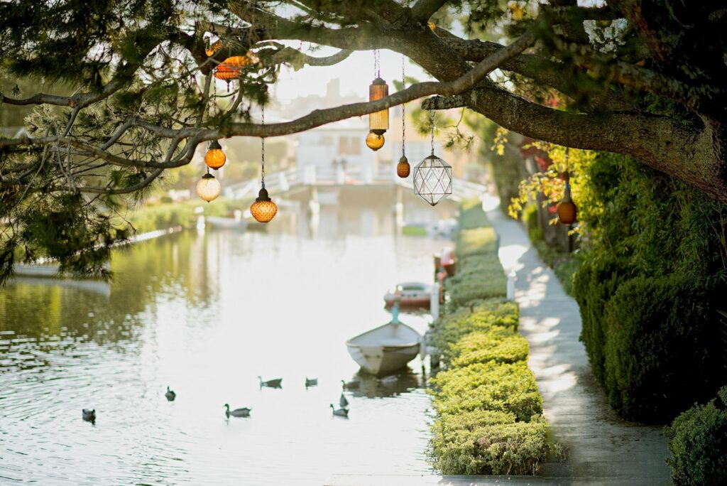 Lamps hanging on a tree near a river